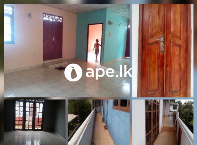 House for rent